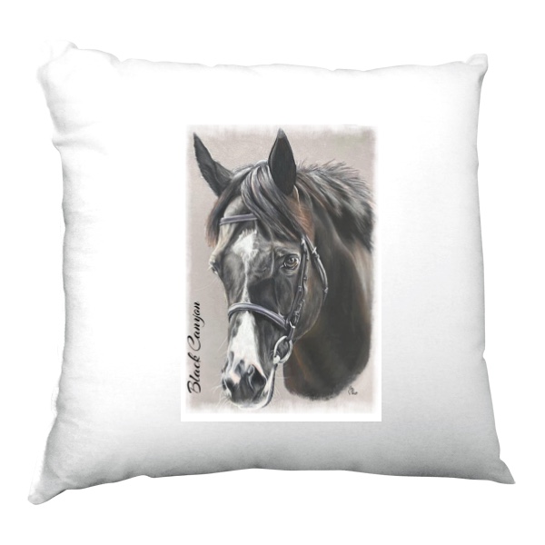 polštář Black Canyon