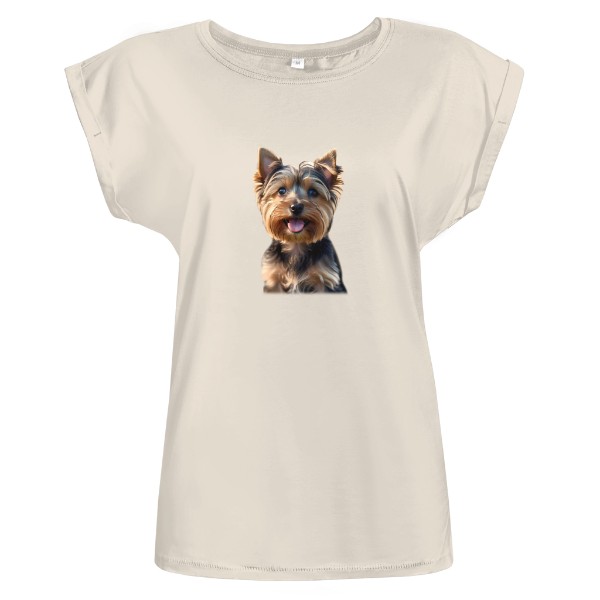 Yorskšírský teriér